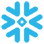 Snowflake Cortex icon