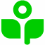 Sprout.ai icon